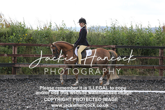 JHP_0113