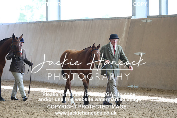 JHP20055