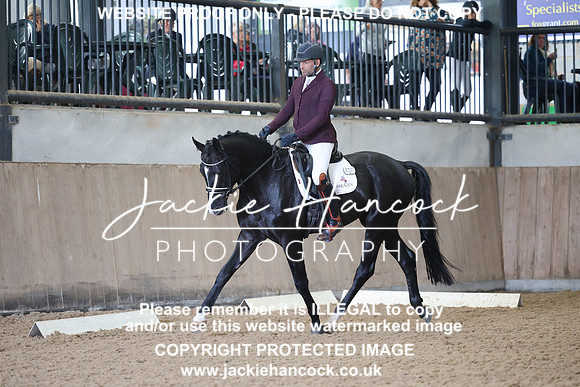 JHP20529