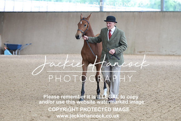JHP20088
