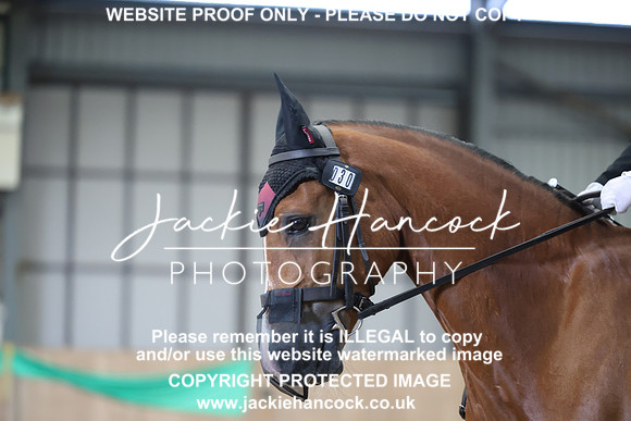JHP20931