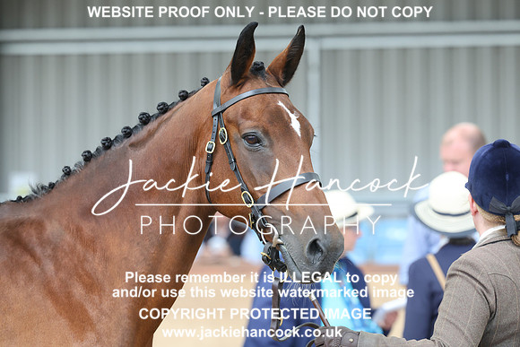 JHP20074