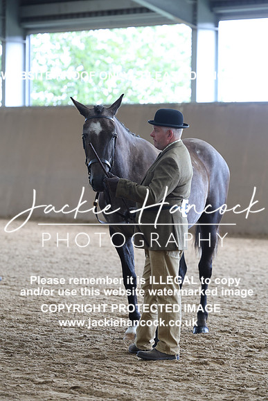 JHP20166