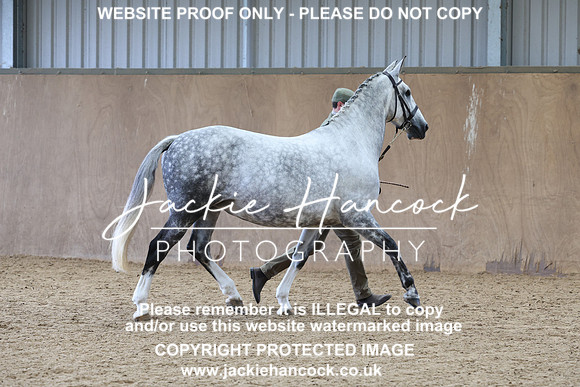 JHP20629