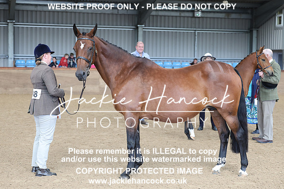 JHP20097