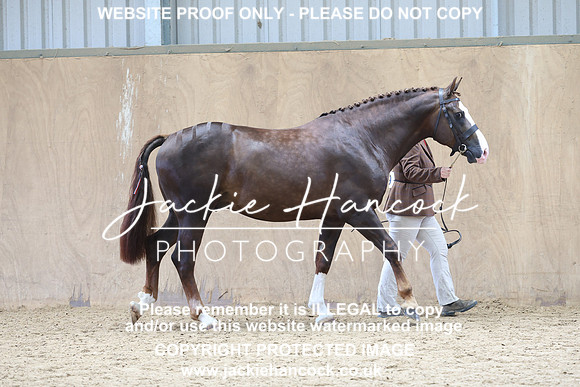 JHP20404
