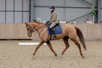 Dressage 13.01.19 HDRC