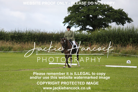 JHP_0527