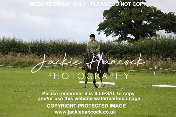 JHP_0529