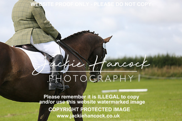 JHP_0574