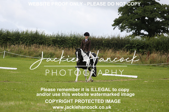 JHP_0799