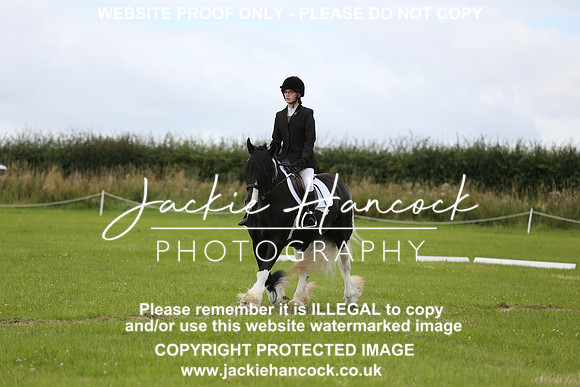JHP_0811