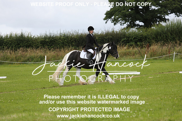 JHP_0818