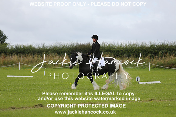 JHP_0826