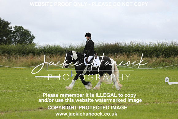JHP_0828