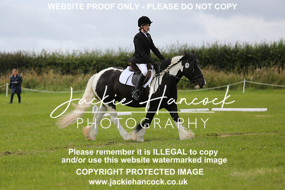 JHP_0856