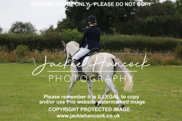 JHP_1317