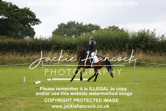 JHP_1341