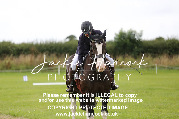 JHP_1411