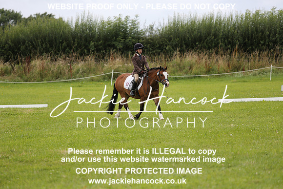 JHP_1541
