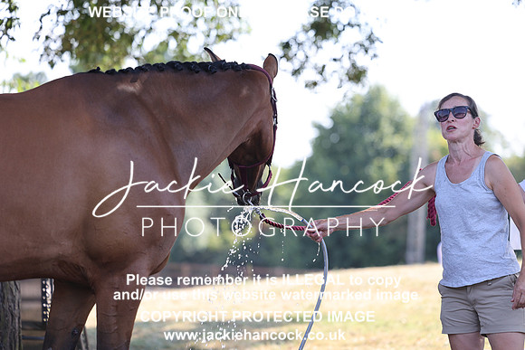 JHP_0773
