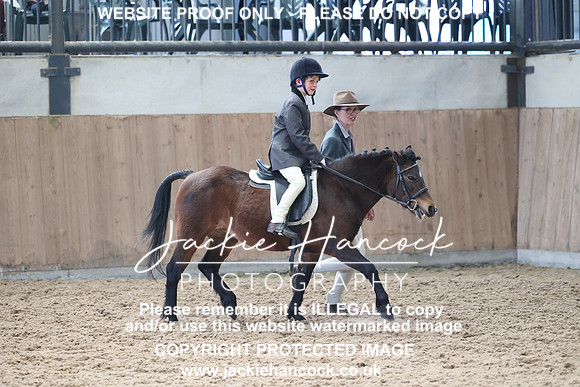 JHP_2017