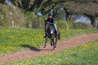 The Gallops (Jackie)