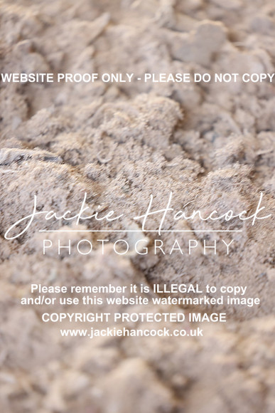 JHP50187