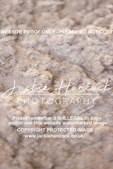 JHP50188