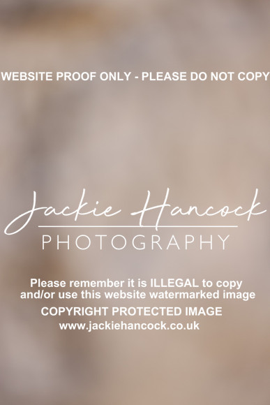 JHP50985
