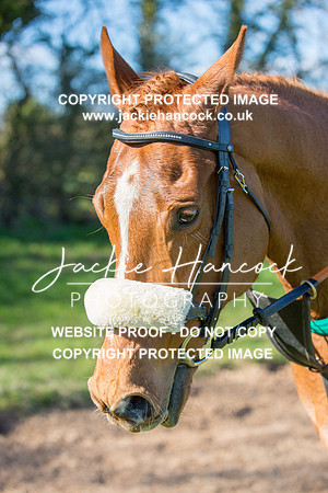 160051-050421-JHP