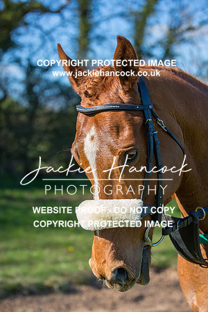 160054-050421-JHP