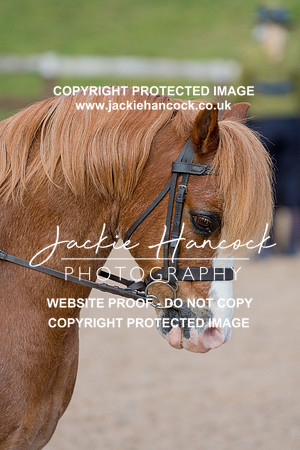 100813-110421-JHP