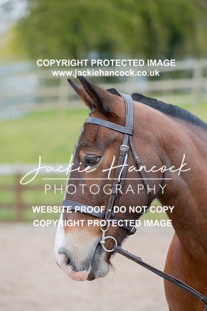 104934-110421-JHP