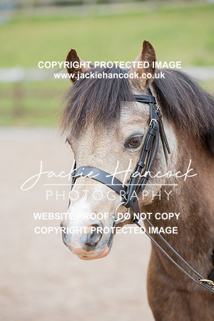 104955-110421-JHP