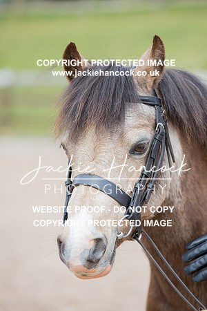 104956-110421-JHP-2