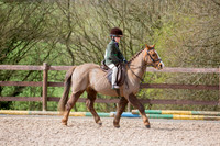 Class 3b - Handsome Gelding