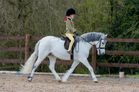 Class 4a - Walk & Trot Ponies
