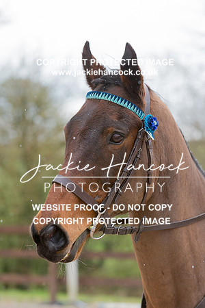 120538-110421-JHP