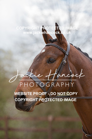 120753-110421-JHP
