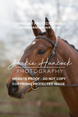 120755-110421-JHP