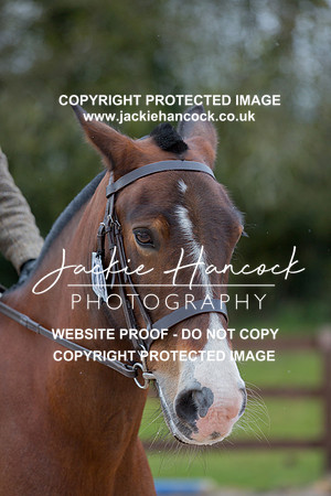 121033-110421-JHP