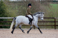 Class 4b - Walk & Trot Horses