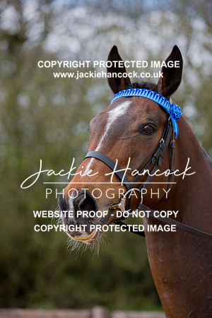 123423-110421-JHP