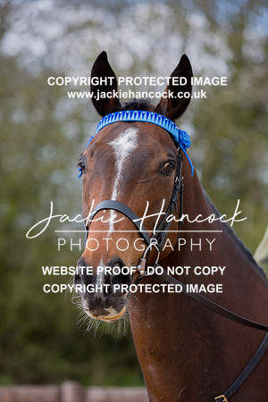 123424-110421-JHP