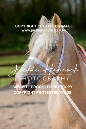 130139-110421-JHP