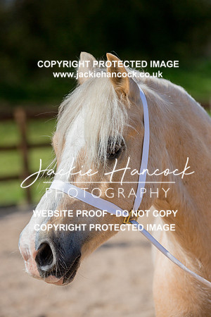 130140-110421-JHP