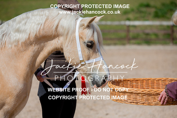 130233-110421-JHP
