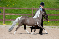 Class 7 - Rare & Foreign Breeds