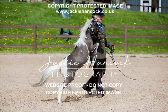 132011-110421-JHP